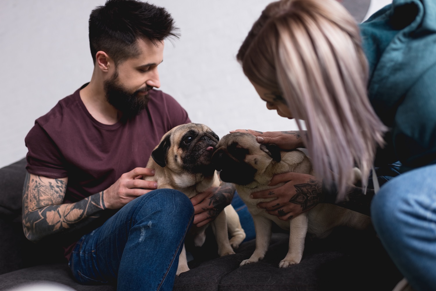 Honden samen