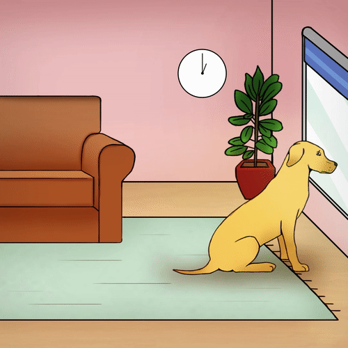 Hond met verlatingsangst