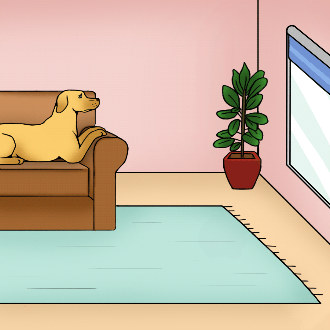Hond jankt om alleen zijn