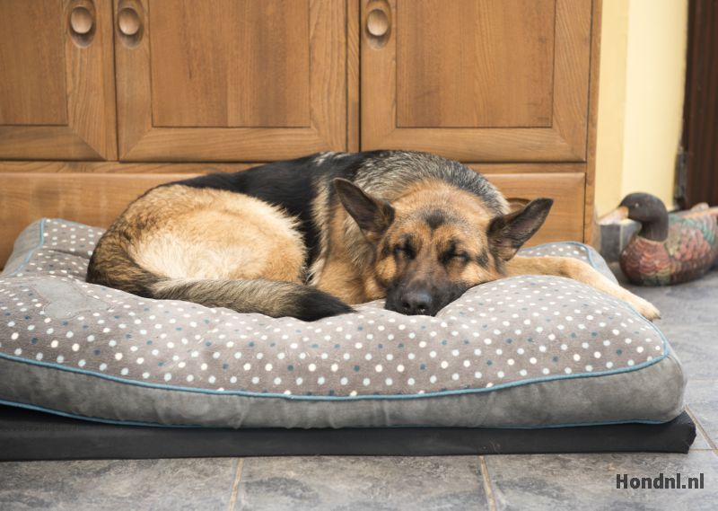 Heder in grote mand