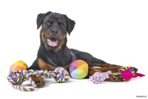 rottweiler speeltjes