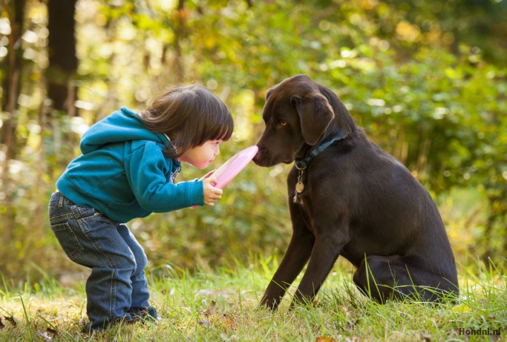kindje speelt met een hond