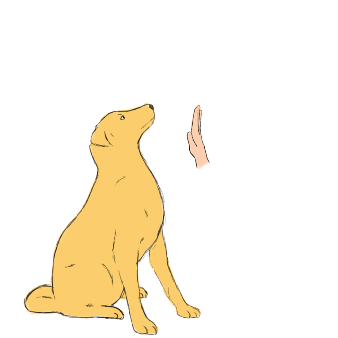 Geef de high five