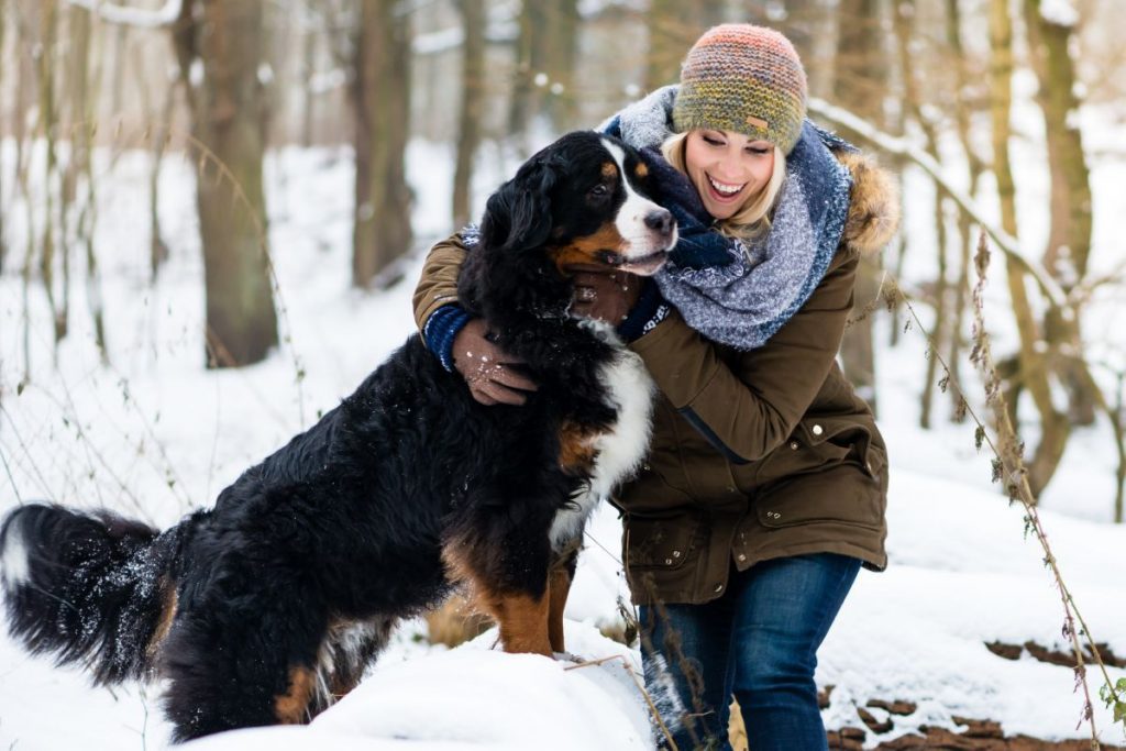 Hond knuffelend met baasje