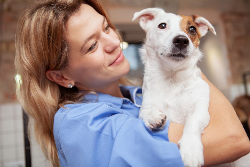 Hond knuffelt baasje