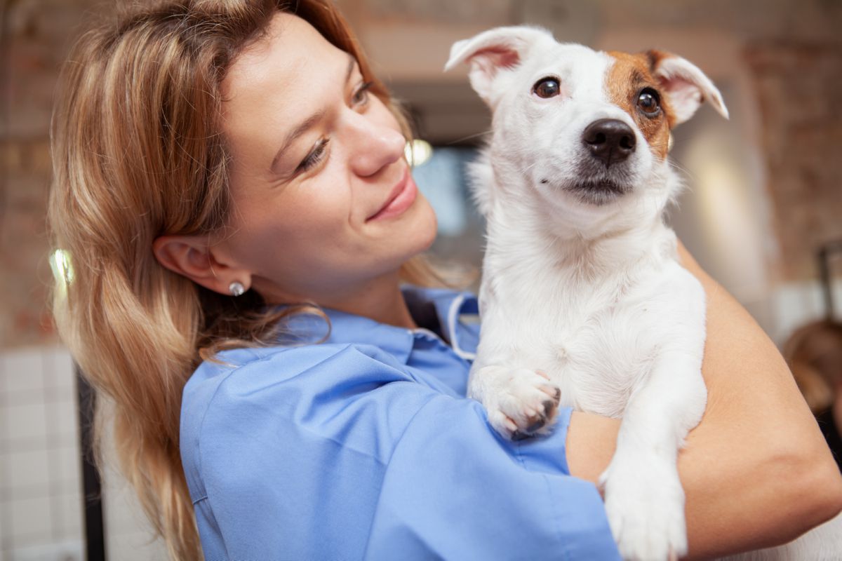 Hond knuffelt baasje