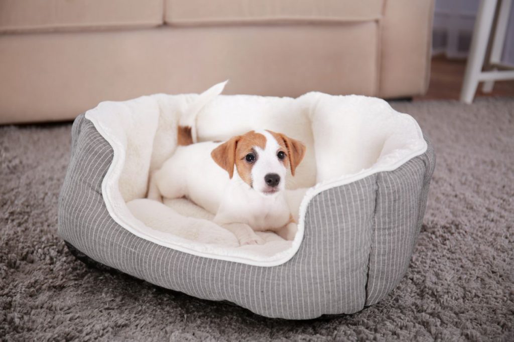 Honden mand