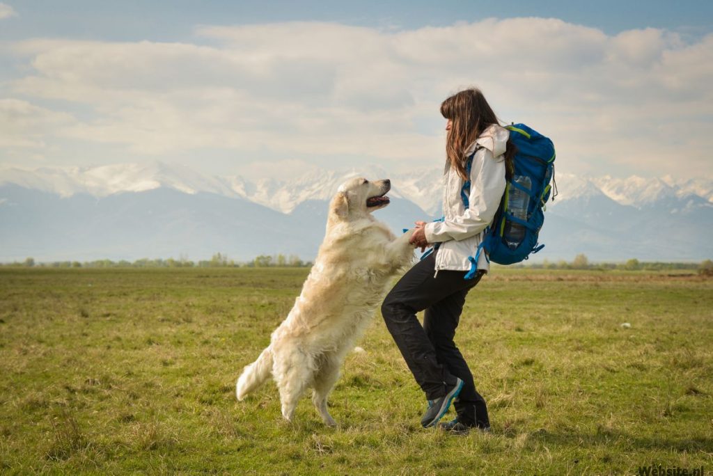 Hond met baasje