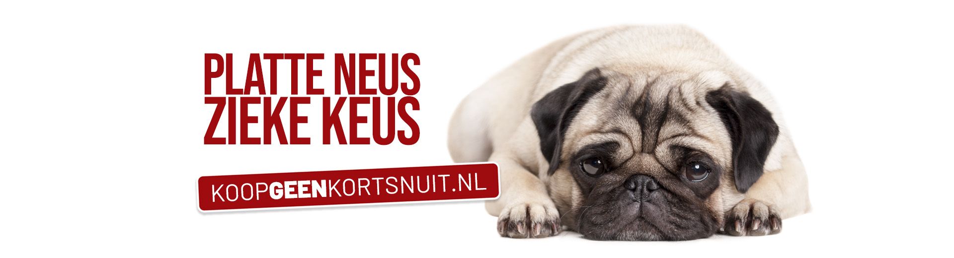 Koop geen kortsnuit banner