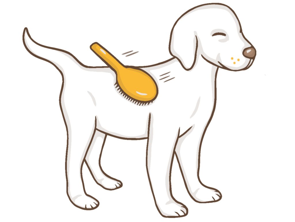 Honden borstel