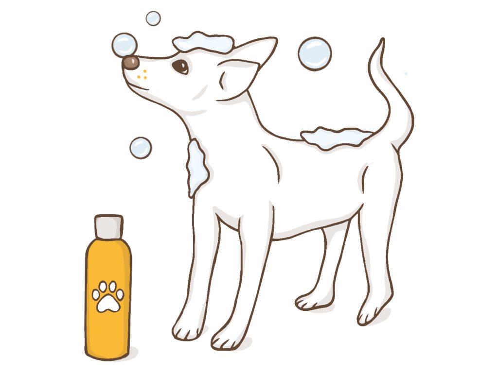 Honden schampoo