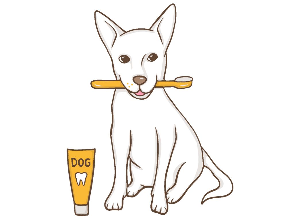 Honden tandenborstel