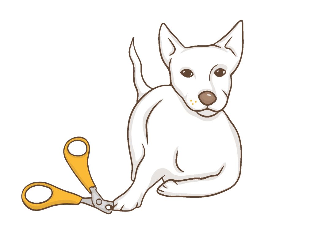 Nagelknipper honden