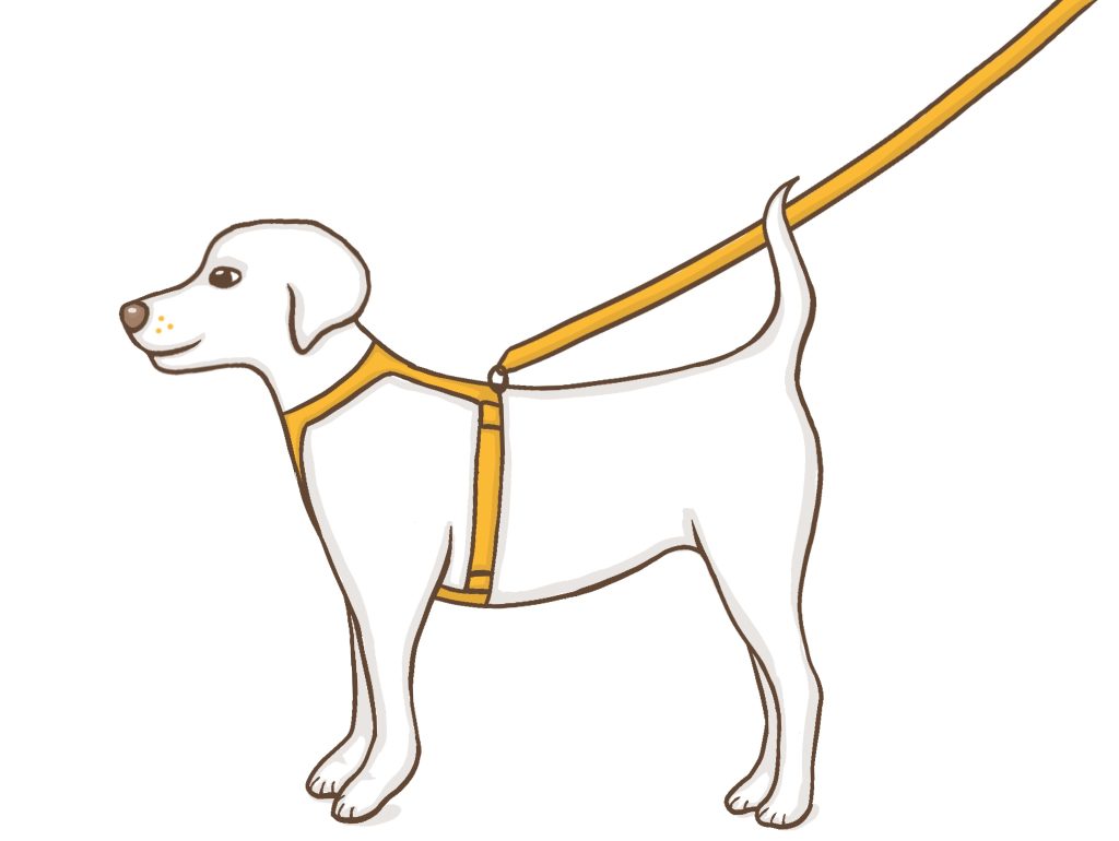Trainingslijn honden