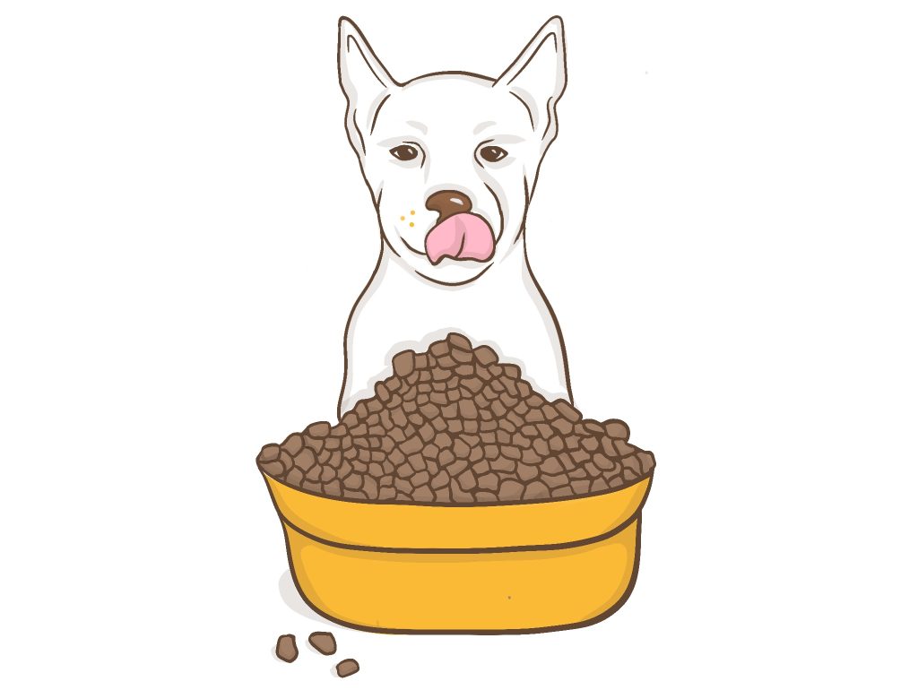 Voeding hond