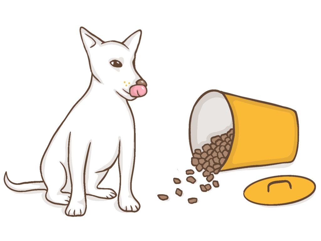 Voedselcontainer hond