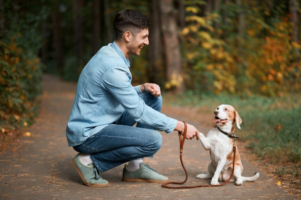 Honden training
