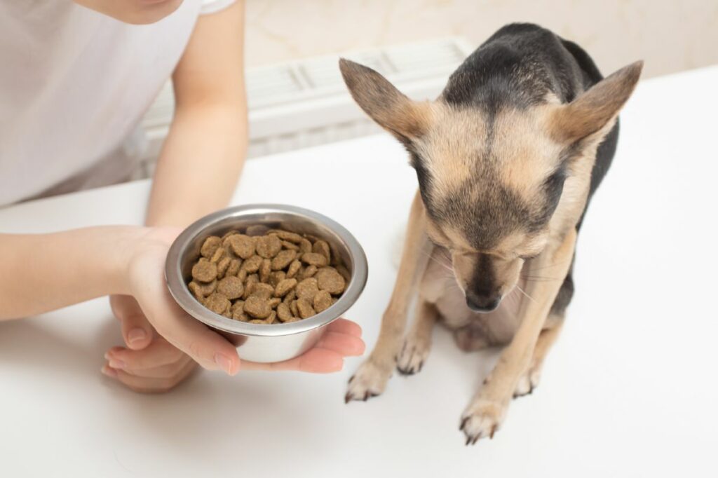 Hond eet niet uit bakje