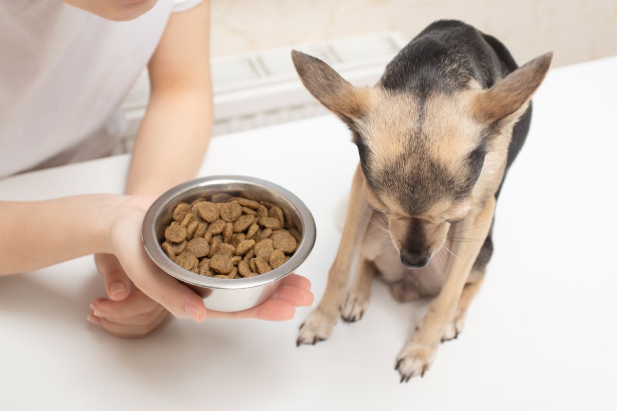 Hond eet niet uit bakje
