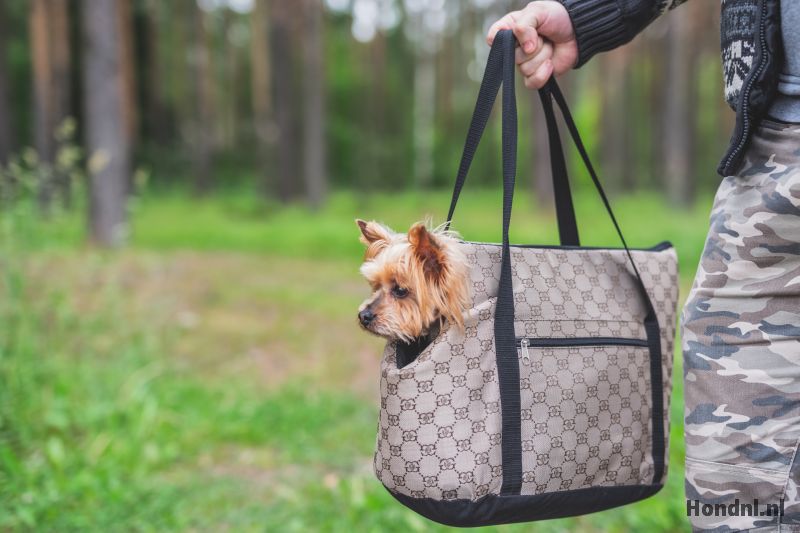 mentaal Populair zondaar Top 15 draagtassen voor kleine honden + trainingstips - Hond.nl
